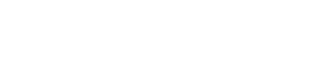 Novoviz